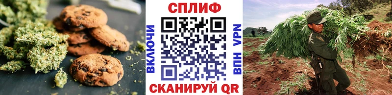 Canna-Cookies марихуана где продают наркотики Шумиха