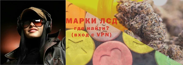 СК Абинск