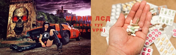 мяу мяу мука Абаза