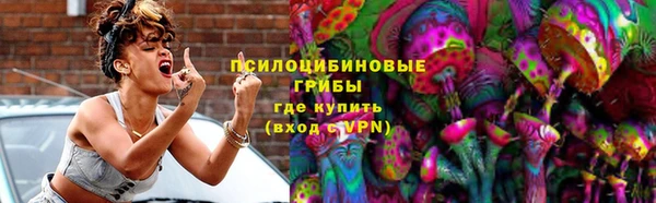 СК Абинск