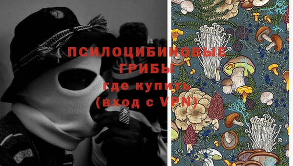 дмт Алексин