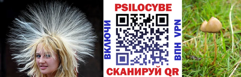 Псилоцибиновые грибы Magic Shrooms  наркотики  Шумиха 